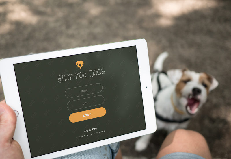 iPad Pro & a dog – 4 photo mockups